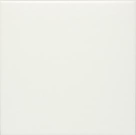 Branco Acetinado 20 X 20