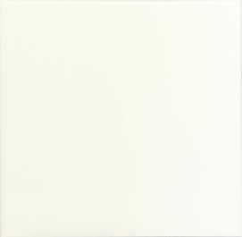 Branco Liso  20 X 20