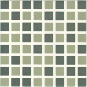 Menta 20 X 20