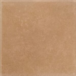 Taverna Sépia 20 X 20